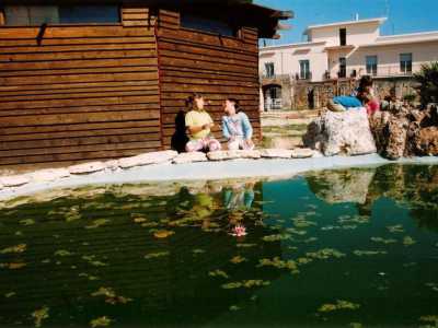 I bambini all'aria aperta mentre svolgono una delle tante attivit� pratiche vicino a un laghetto